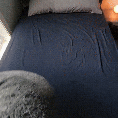 Demonstration der wasserdichten Schutzschicht der Liebe Decke