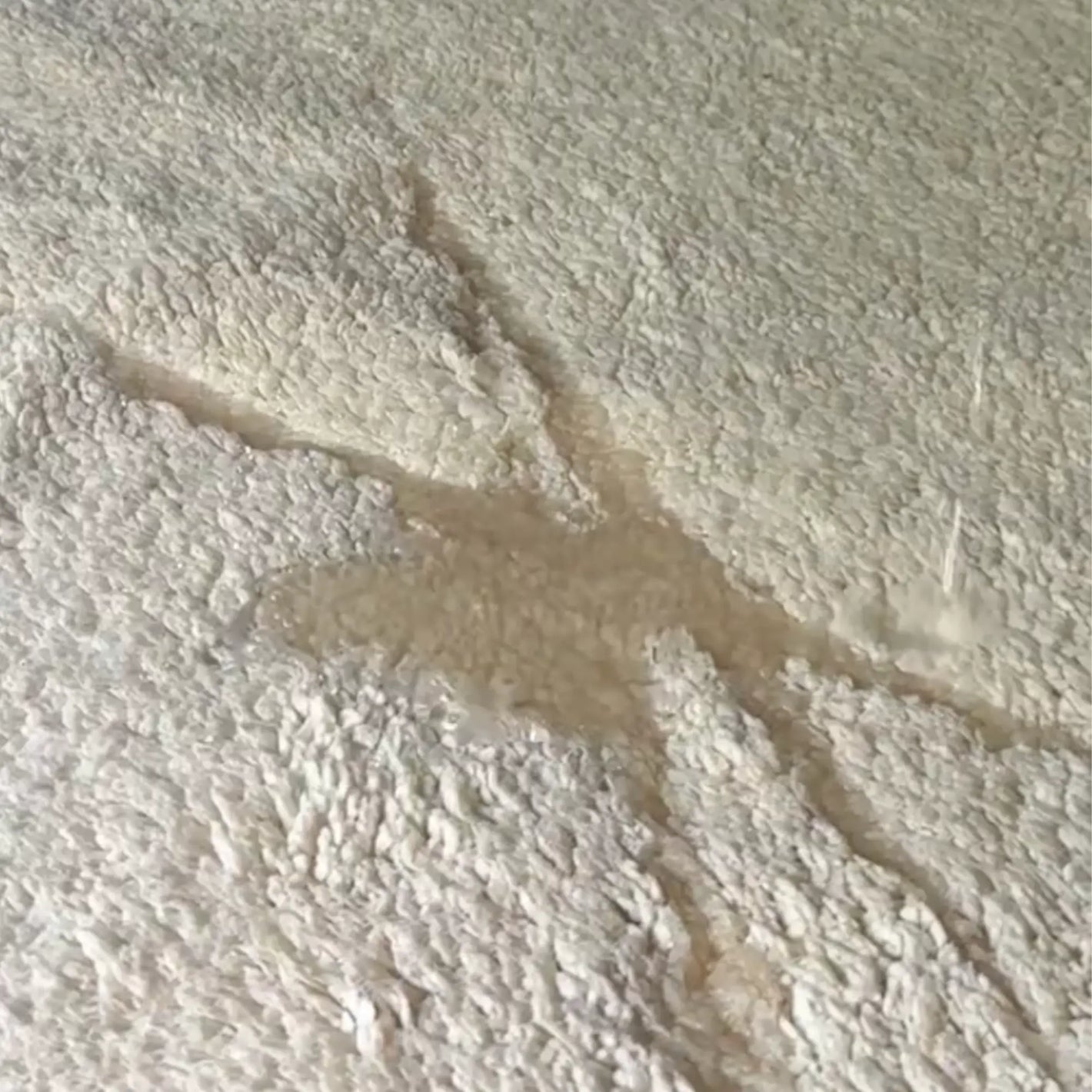 Review with a beige LoveBlanket on a bed, water on it